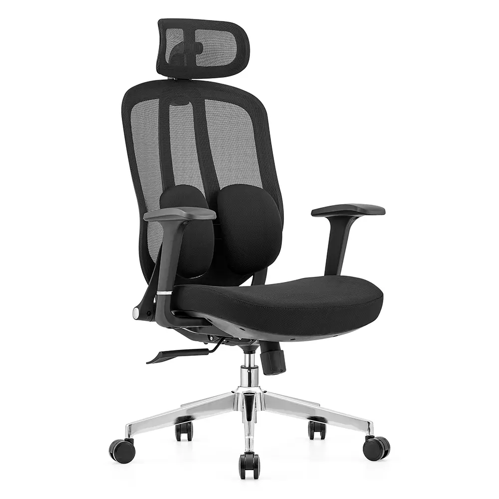 ErgoFlex Ergonomic Chair with mesh back and lumbar support